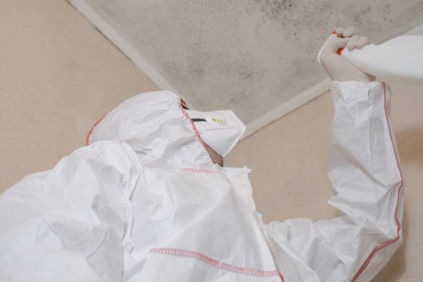 Best Mold Testing and Inspection Services in Rancho Mission Viejo, CA