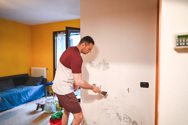 Best Bathroom Mold Remediation in Rancho Mission Viejo, CA